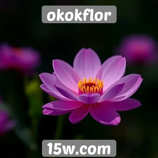 experiência de usuário no site okokflor é aprimorada